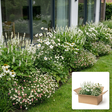 Pack jardin - composition prête à planter