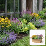 Pack jardin - composition prête à planter