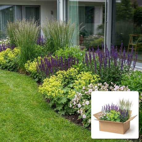 Pack jardin - composition prête à planter