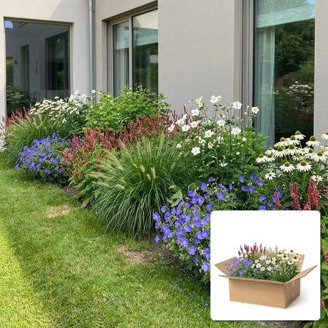 Pack jardin - composition prête à planter