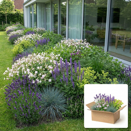 Pack jardin - composition prête à planter