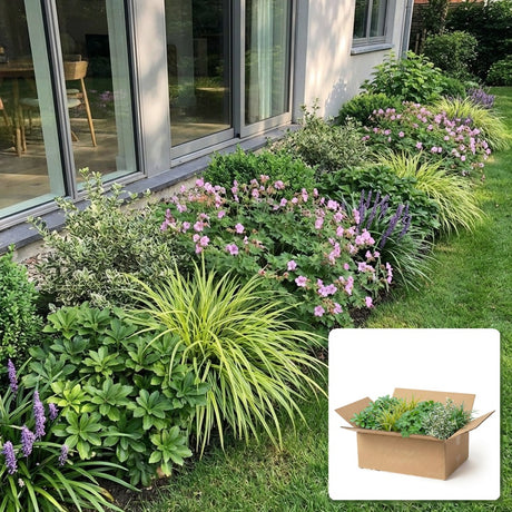 Pack jardin - composition prête à planter