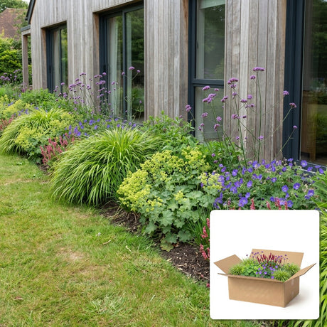 Pack jardin - composition prête à planter