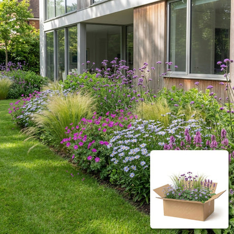 Pack jardin - composition prête à planter