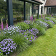 Pack Massif Soleil & Mi-Ombre Violet & Bleu - 30 plantes — photo 2