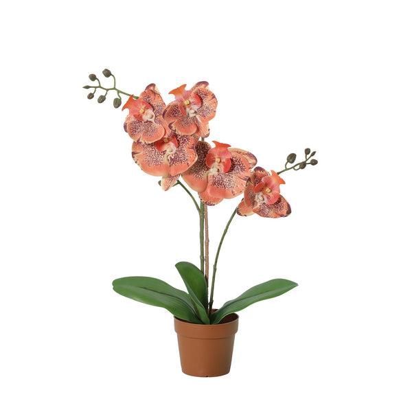 Künstliche Phalaenopsis-Orchidee orange - 41cm