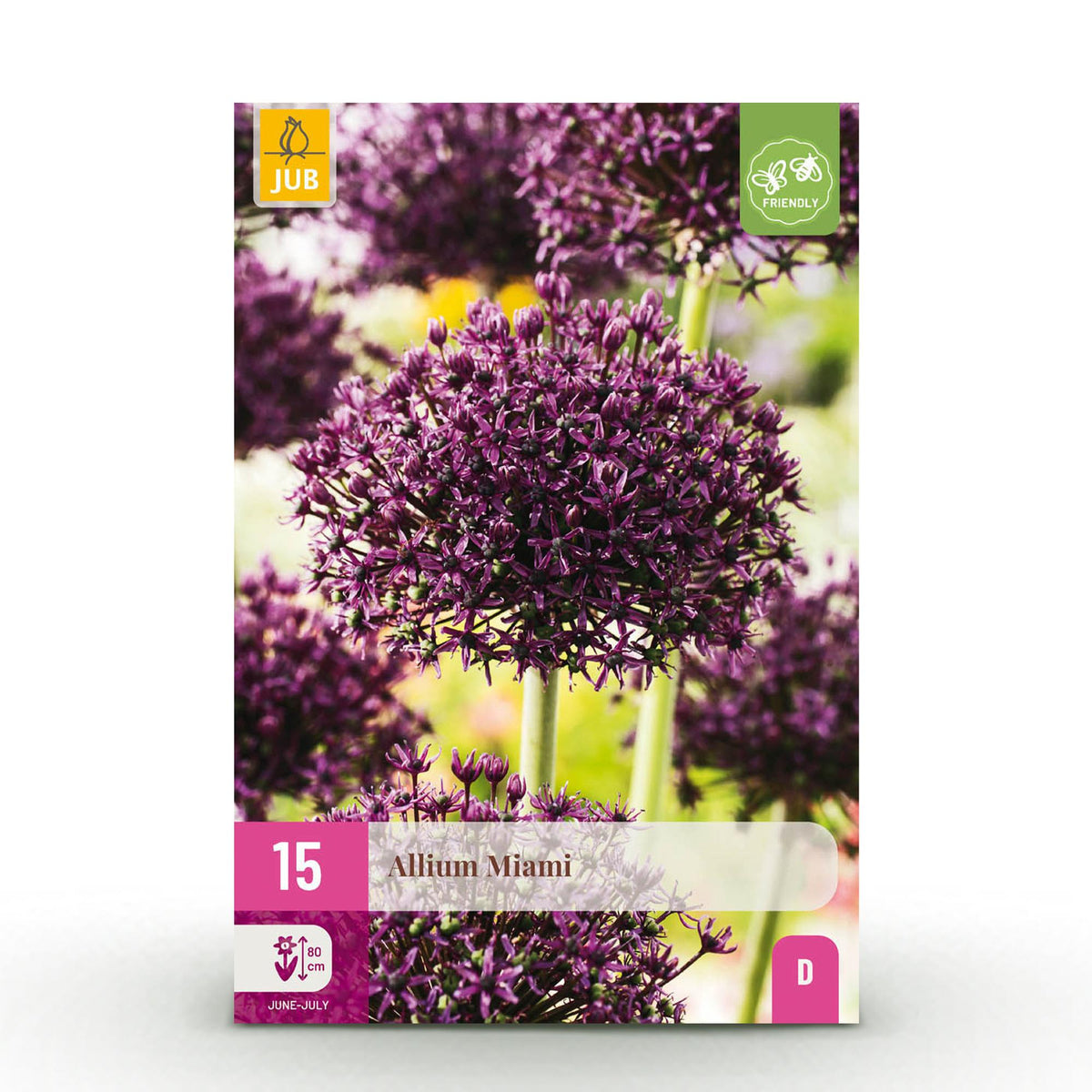 Green boutiQ - Blumenzwiebeln - Allium Miami - Farbe Lila - 15 Stück - Zwiebelgröße 10/11 - XXL Pack