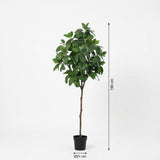 Künstlicher Magnolienstrauch H190cm