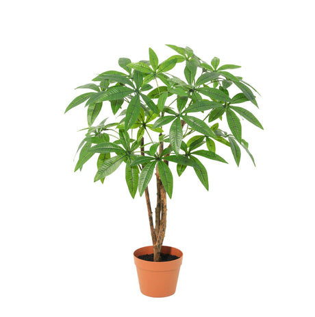 Künstliche Pachira Aquatica h86cm