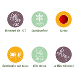 Green boutiQ - Terrassenpflanze - Japanischer Ahorn - Acer palmatum Sumi-nagashi - Rot - 2 Pflanzen - Laubabwerfend - Topf 19cm Höhe 70cm
