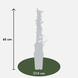 Feuerdorn 'Soleil dOr' - Ø15cm - ↕65cm