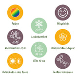 Green boutiQ - Beetpaket - Bodendecker - 24 Stauden - 3 m2 - Diverse Farben - Wenig Pflege - Topf 11cm