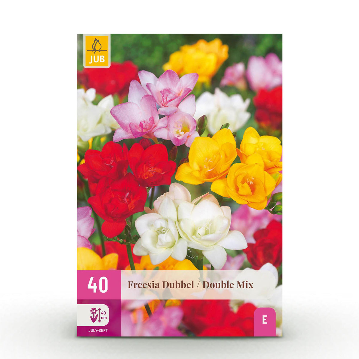 Green boutiQ - Blumenzwiebeln - Freesia Double Mix - Verschiedene Farben - 40 Stück - Zwiebelgröße 5/6 - XXL Pack