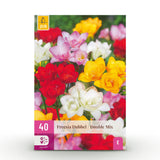Green boutiQ - Blumenzwiebeln - Freesia Double Mix - Verschiedene Farben - 40 Stück - Zwiebelgröße 5/6 - XXL Pack