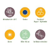 Green boutiQ - Obstpflanzen - Blaubeere - Vaccinium macrophylla Early Black - Winterhart - 3 Pflanzen - Topf 9 cm - Dunkelrote Beere