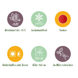 Green boutiQ - Terrassenpflanze - Japanischer Ahorn - Acer palmatum Shaina - Rot - 2 Pflanzen - Laubabwerfend - Topf 19cm Höhe 70cm