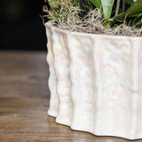 Orchidées Phalaenopsis blanches Blossom Lausanne en coupe Oyster - bouquet de 3 - H 45 cm, pots Ø12 cm