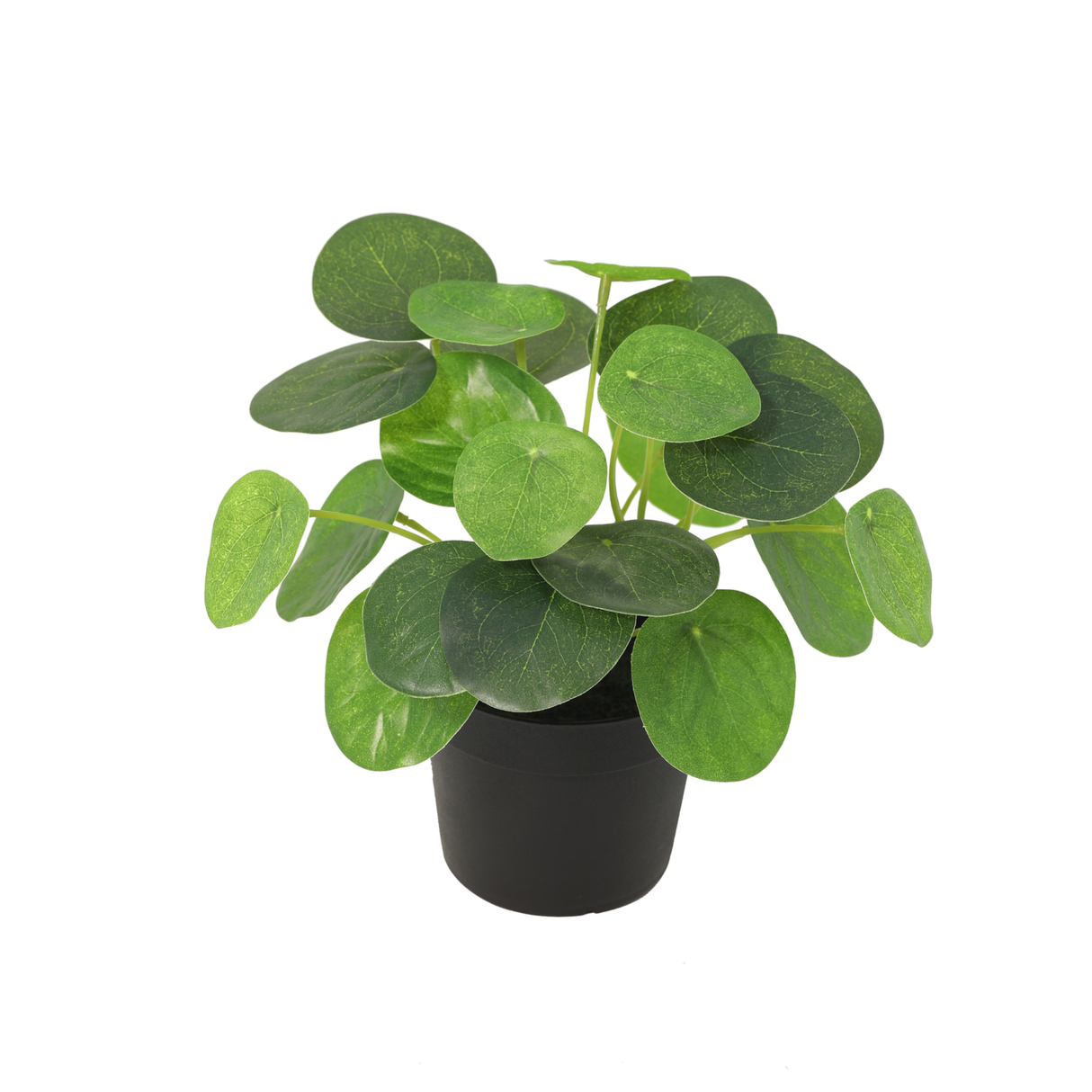 KÜNSTLICHE Pilea peperomioides – 17,5 cm