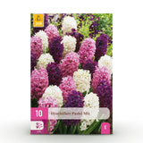 Green boutiQ - Blumenzwiebeln - Hyazinthe Pastellmix - Verschiedene Pastellfarben - 10 Stück - Zwiebelgröße 14/15 - XXL Pack