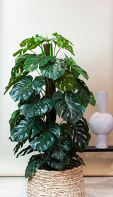 Künstliche Monstera deliciosa H180cm