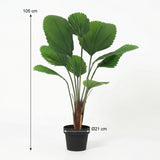 Licuala Grandis Kunstpalme H104cm