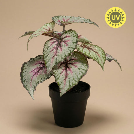 Künstliche Begonie H26cm inklusive Topf