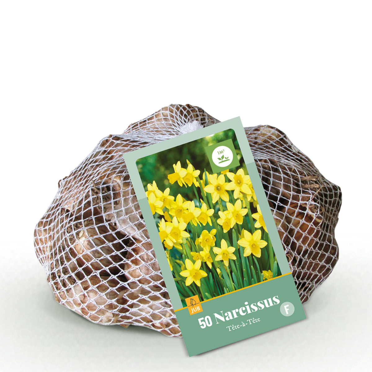 Green boutiQ - Blumenzwiebeln - Narzisse Tete-A-Tete - Farbe Gelb - 50 Stück - Zwiebelgröße 10/12