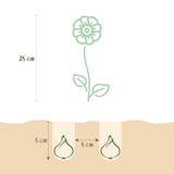 Green boutiQ - Blumenzwiebeln - Eranthis Cilicica - Farbe Gelb - 25 Stück - Zwiebelgröße 4/5 - XXL Pack