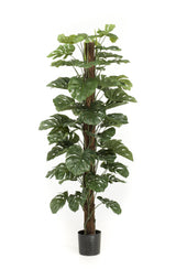 Künstliche Monstera deliciosa H180cm