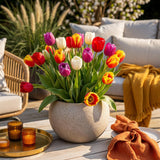 Green boutiQ - Blumenzwiebeln - Tulpen Triumph-Mischung - Verschiedene Farben - 15 Stück - Zwiebelgröße 11/12 - XXL Pack