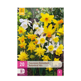 Green boutiQ - Blumenzwiebeln - Narzissen Botanical Mix - Farbe Gelb und Weiß - 20 Stück - Zwiebelgröße 10/12 - XXL Pack
