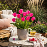 Green boutiQ - Blumenzwiebeln - Tulpe Triumph Pink - Farbe Rosa - 15 Stück - Zwiebelgröße 11/12 - XXL Pack