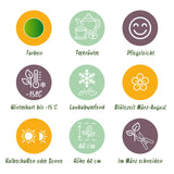 Green boutiQ - Staudenbeet-Paket - Teekräuter - 24 Stauden - 3 m2 - Verschiedene Farben - Wenig Pflege - Topf 11cm