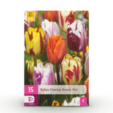 Green boutiQ - Blumenzwiebeln - Tulpe Flaming Beauty Mix - Verschiedene Farben - 15 Stück - Zwiebelgröße 11/12 - XXL Pack