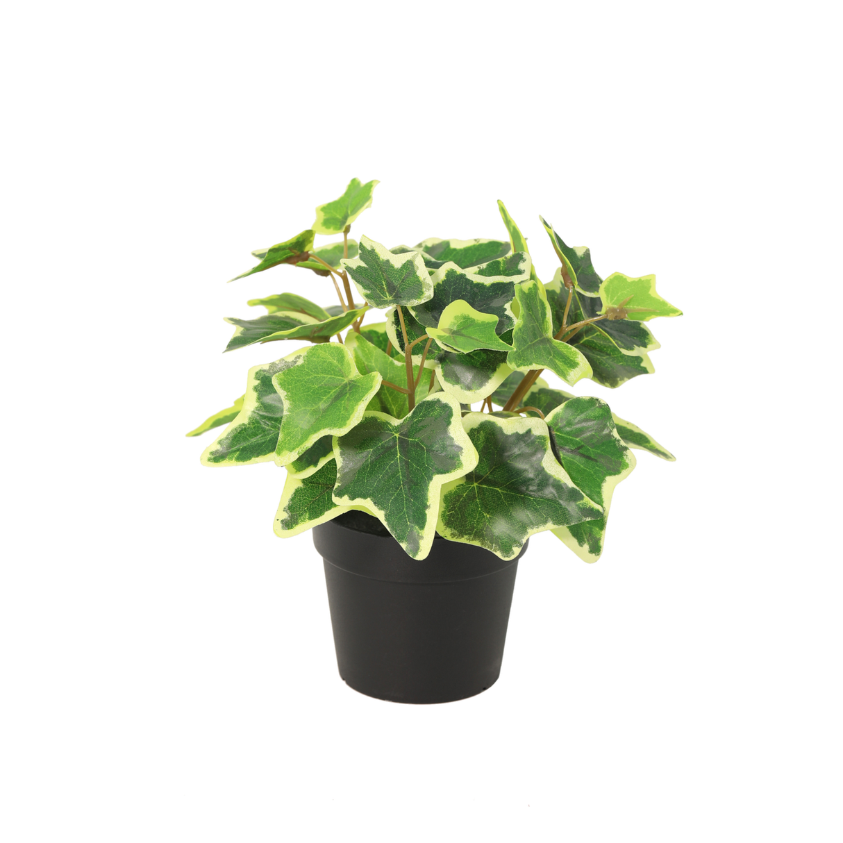 Künstlicher Weißer Efeu – 19 cm