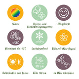 Green boutiQ - Staudenbeet-Set - Bienen- und schmetterlingsfreundlich - 24 Stauden - 3 m² - Verschiedene Farben - Pflegeleicht - Topf 11 cm