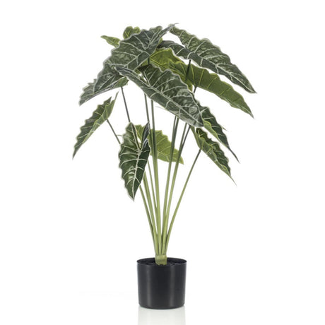 Künstliche Alocasia H80cm