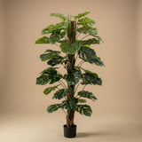 Künstliche Monstera, H 150 cm