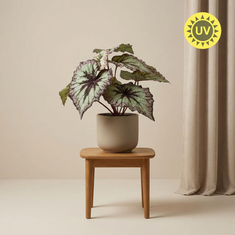 Künstliche Begonie H26cm