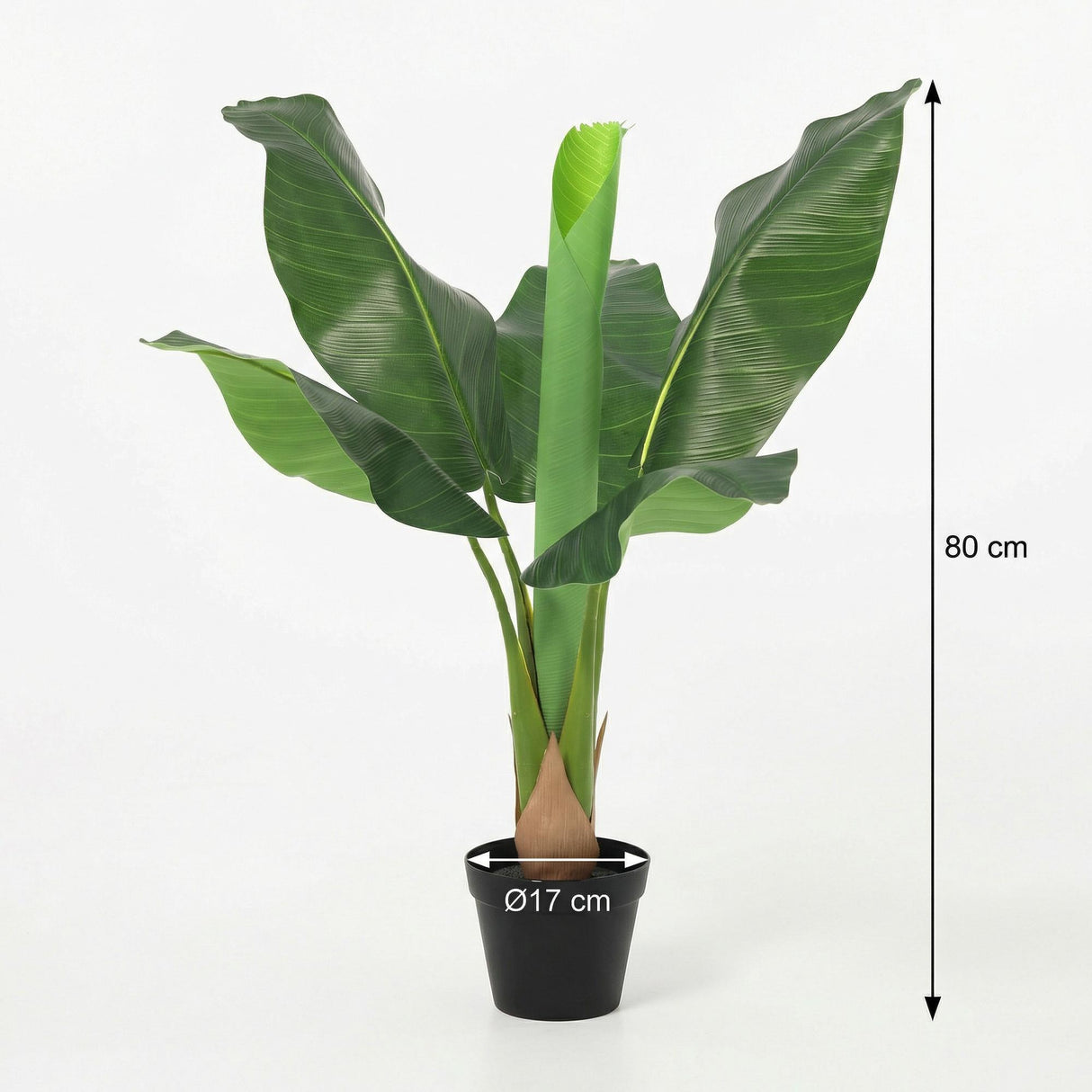Künstlicher Bananenbaum Musa H80cm
