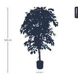 Künstlicher Ficus, Premium-Qualität, H 140 cm
