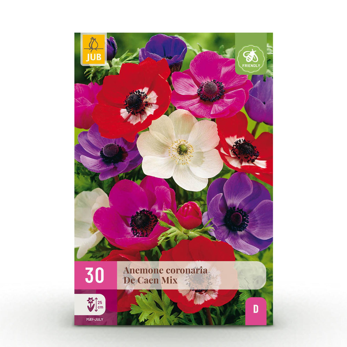Green boutiQ - Blumenzwiebeln - Anemone de Caen mix - Verschiedene Farben - 30 Stück - Zwiebelgröße 5/6 - XXL Pack