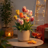 Green boutiQ - Blumenzwiebeln - Tulpe Flaming Beauty Mix - Verschiedene Farben - 15 Stück - Zwiebelgröße 11/12 - XXL Pack