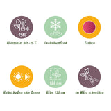 Green boutiQ - Terrassenpflanze - Japanischer Ahorn - Acer palmatum Pink Dwarf - Rosa - 1 Pflanze - Laubabwerfend - Topf 19cm Höhe 70cm