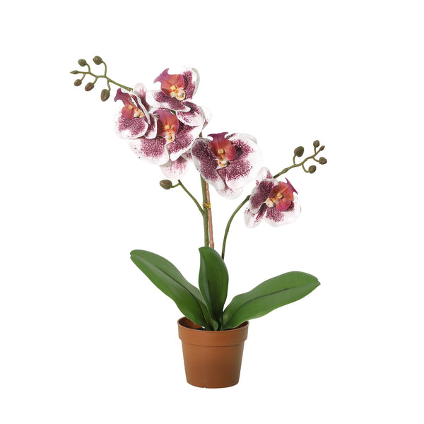 KÜNSTLICHE Phalaenopsis Orchidee violett-weiß - 41cm