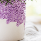 Kolibri Company | Pflanzenset Bloom Purple | Lila Vienna Orchidee + Grünpflanzen inkl. Übertöpfe