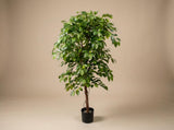 Künstlicher Ficus, Premium-Qualität, H 140 cm