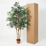 Künstlicher Ficus Exotica h150cm