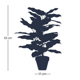 Künstliche Calathea makoyana im Topf H65cm