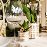 Kolibri-Unternehmen | Pflanzenset Le Chic klein | Witte Phalaenopsis Orchidee Amabilis in Sukkulente inkl. Keramieken Sierpotten op Cream Organic Dienblad